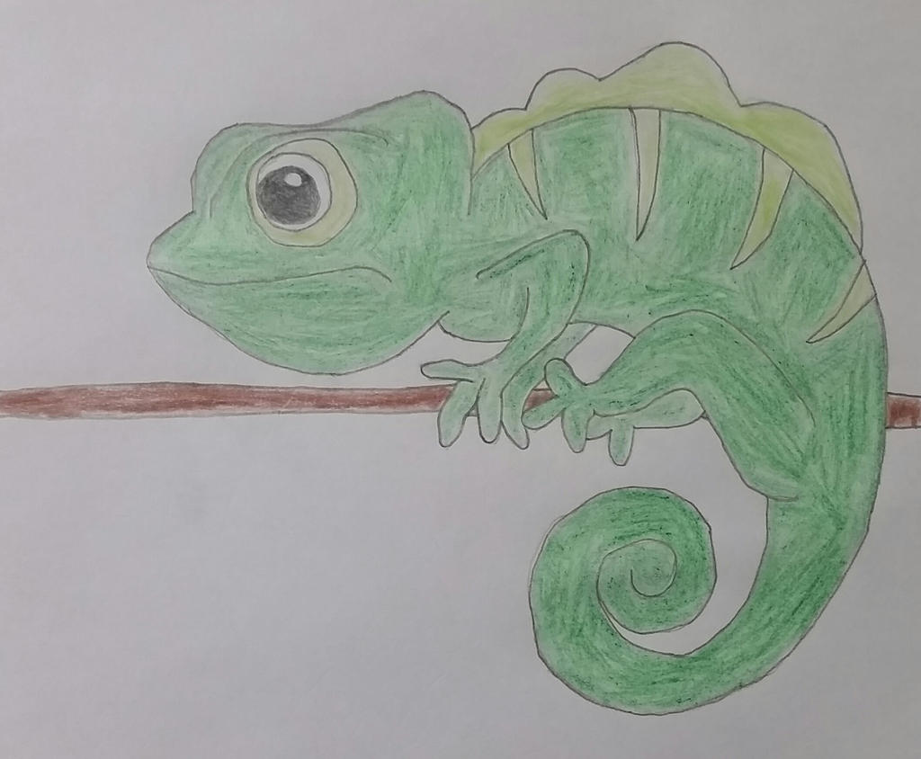 Chameleon Drawing