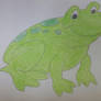 Frog Drawing