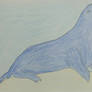 Drawing of a Seal