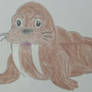 Walrus Drawing