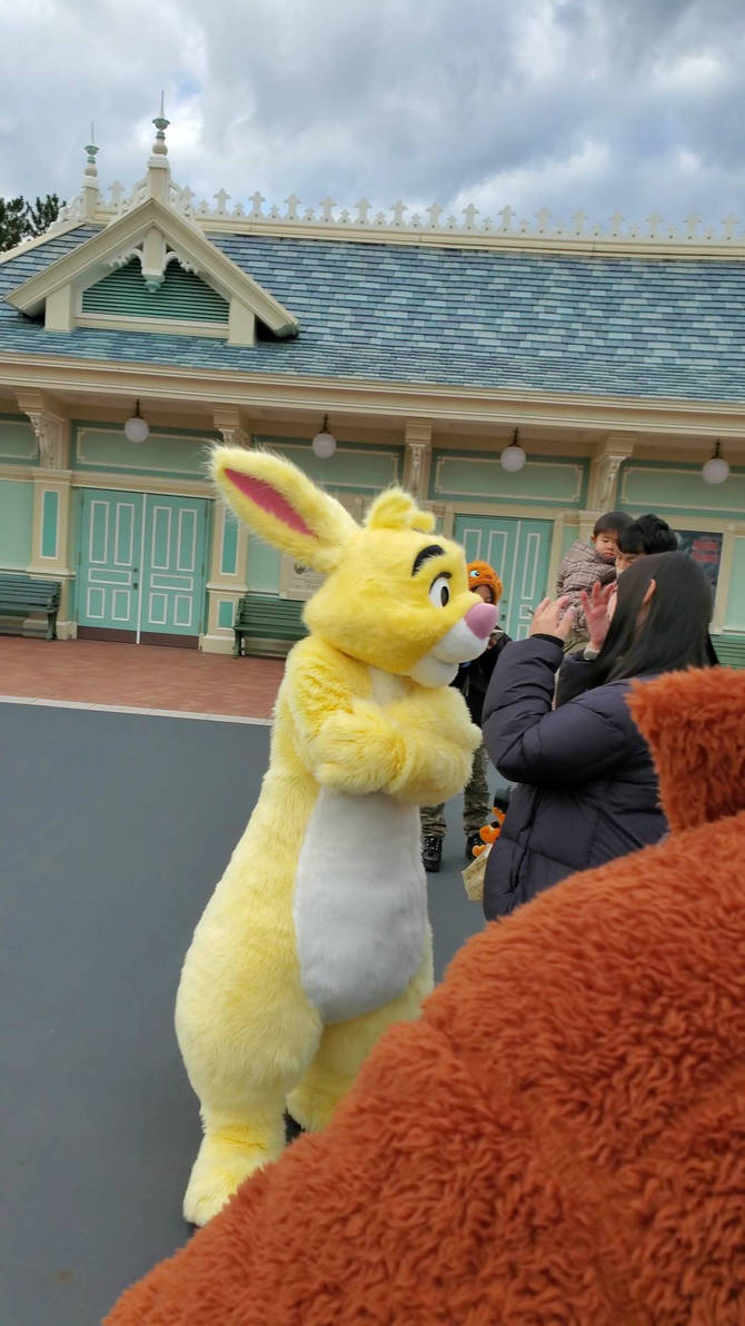 Rabbit from Winnie the Pooh in Tokyo Disneyland by JCP-JohnCarlo on ...
