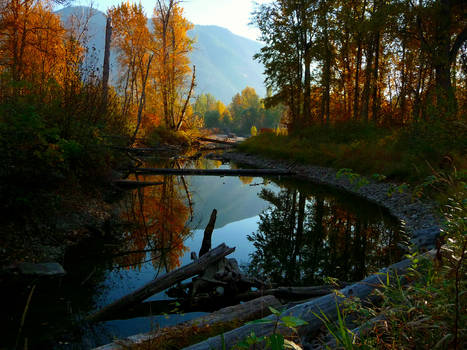 Roderick Haig Brown Park