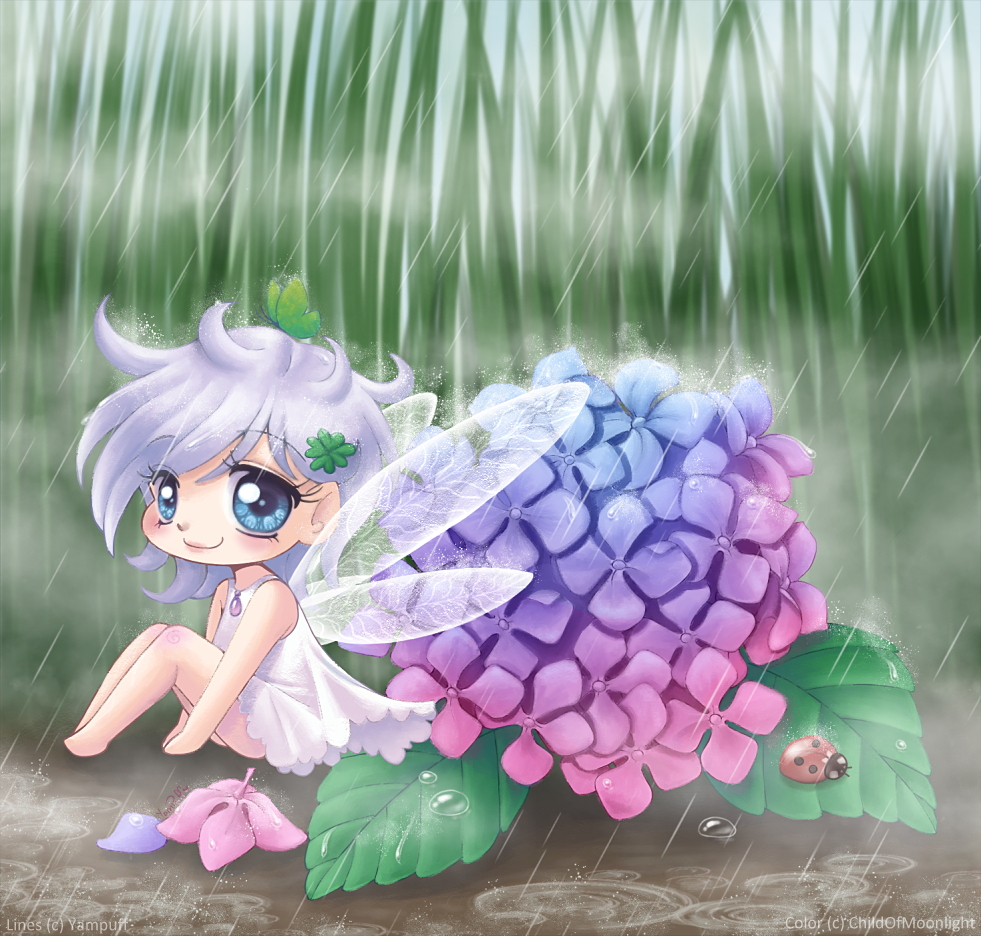 Hydrangea Fairy