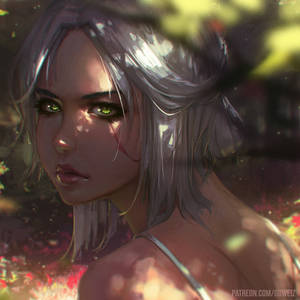 Ciri