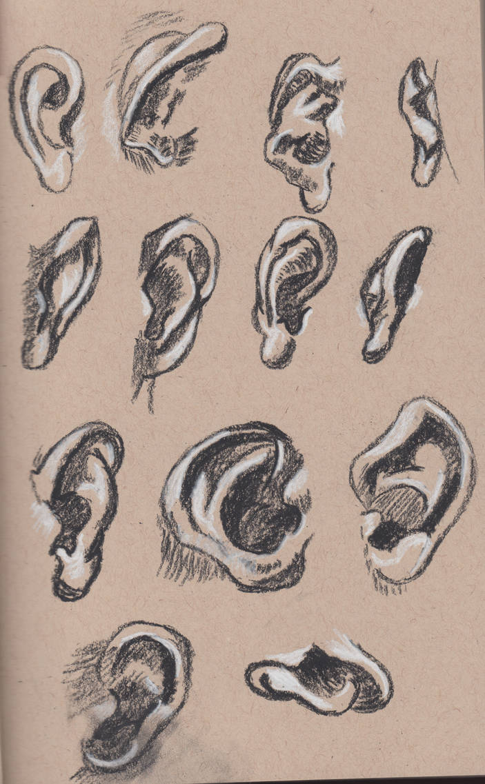 Ear Study (1) by damekage on DeviantArt