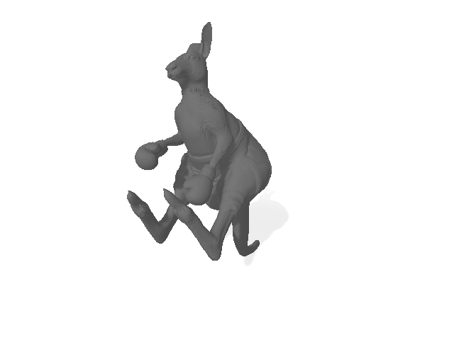 Kangaroo Male by Maximumanimal2111 on DeviantArt