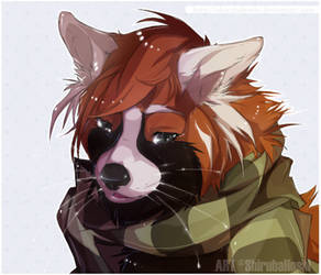 Com for Russian-red-panda