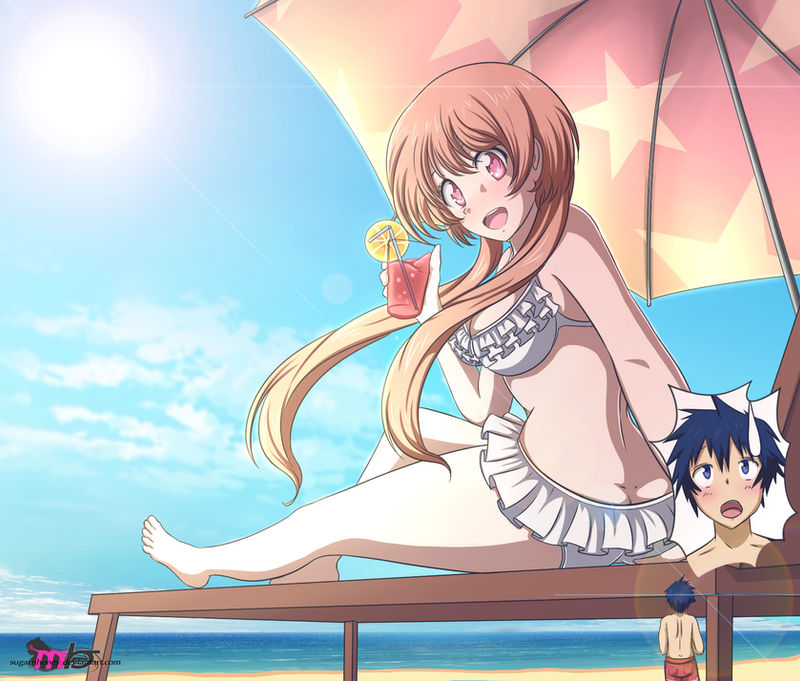 Nisekoi Beach-shrinking