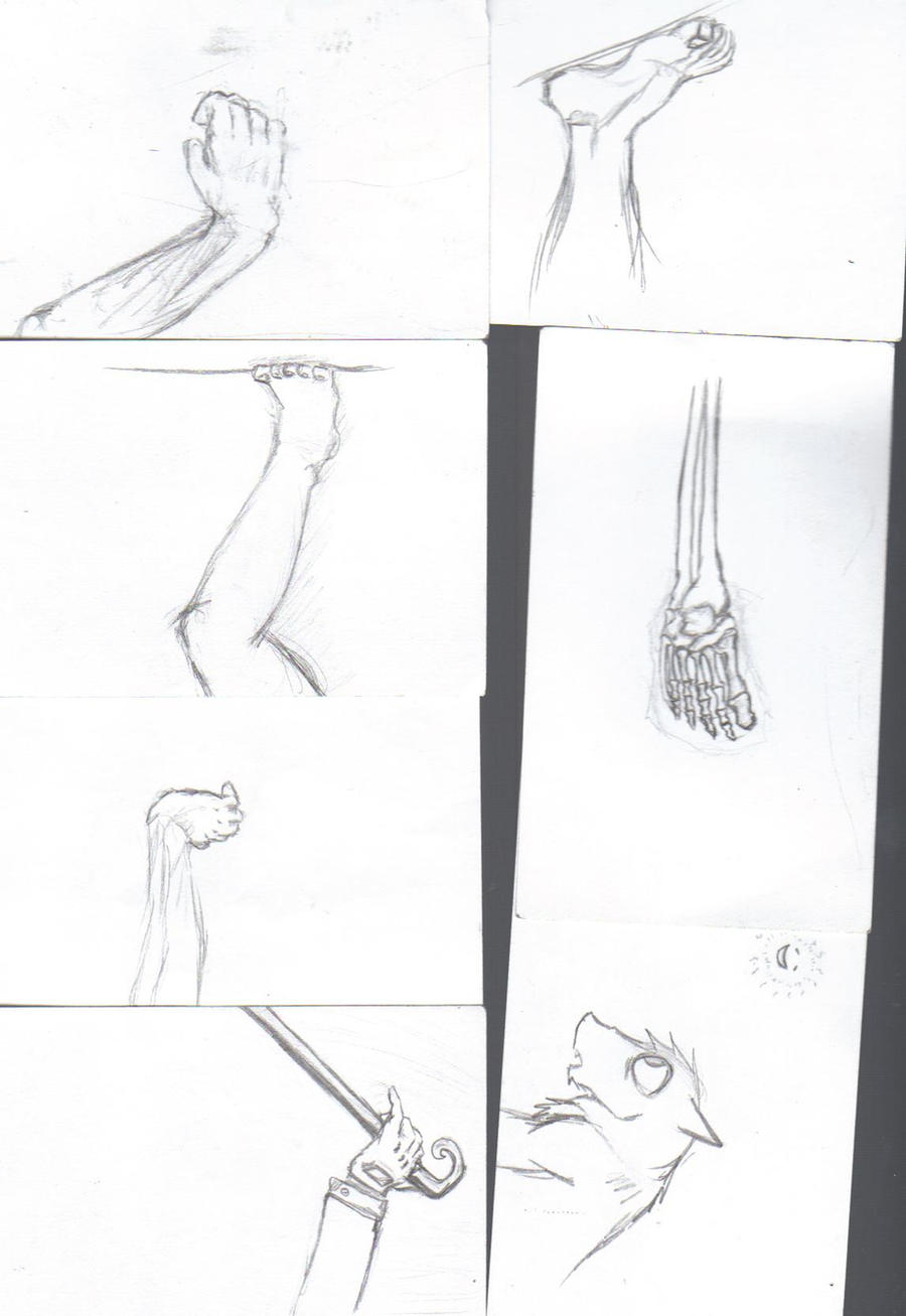 Random Body Image Random Body Parts by lupelupe123 on DeviantArt