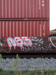 TraingraffitiseenaroundStPt WI 9/13/2015 6:19 ASS by Crigger