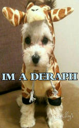 I'M A DERAPH