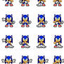 Sonic Custom Pose