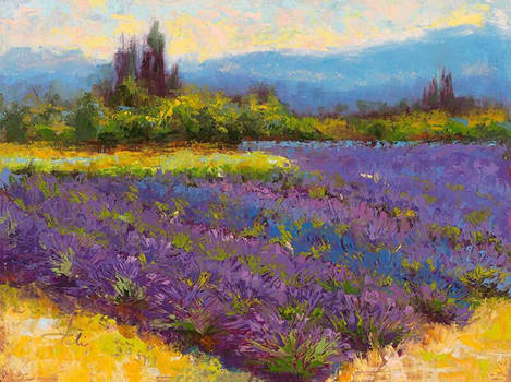 Morning Prelude - lavender lake landscape