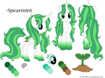 Spearmint Ref Sheet by Acrylicpony