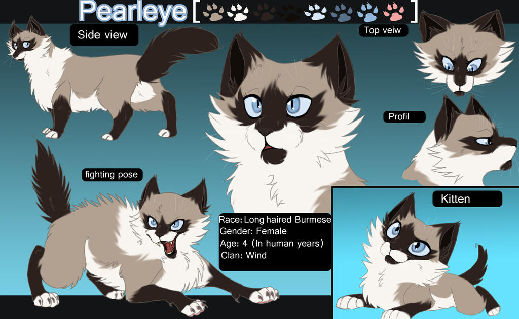 Warrior Cats Ref Sheet (Pearleye) by GenJoany on DeviantArt