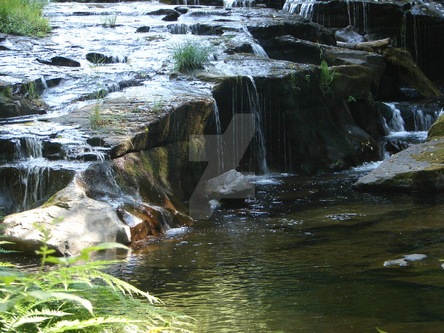 Sweet Creek Falls 2009