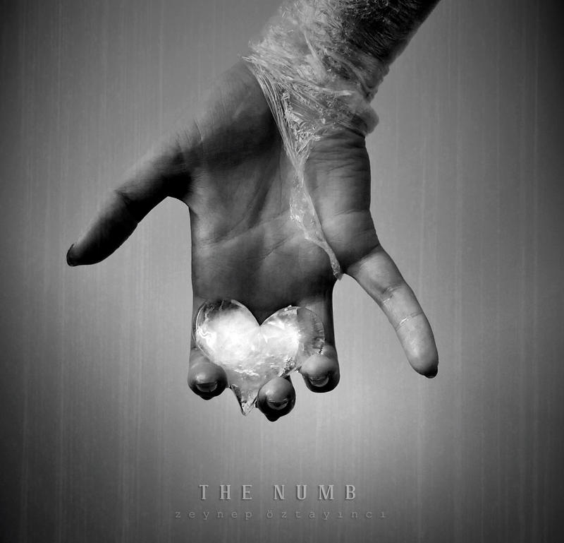 The Numb