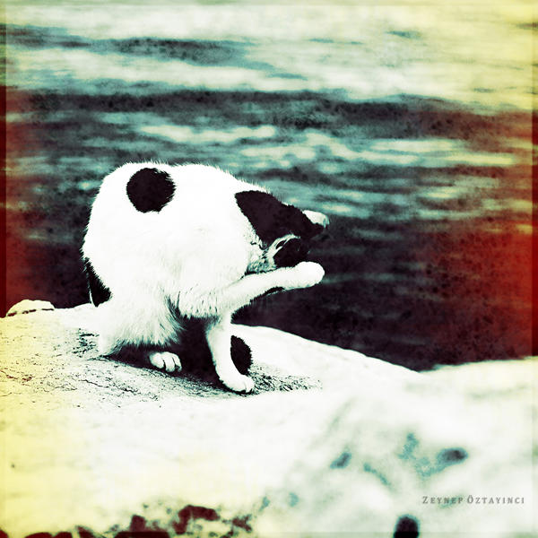 diffident.. by estellamestella on DeviantArt