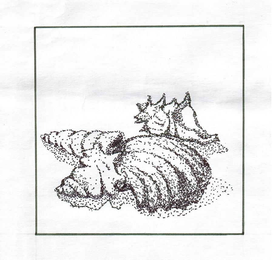 Funky Shells Bro XD by Tnima95 on DeviantArt