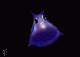 Deep Sea Creature