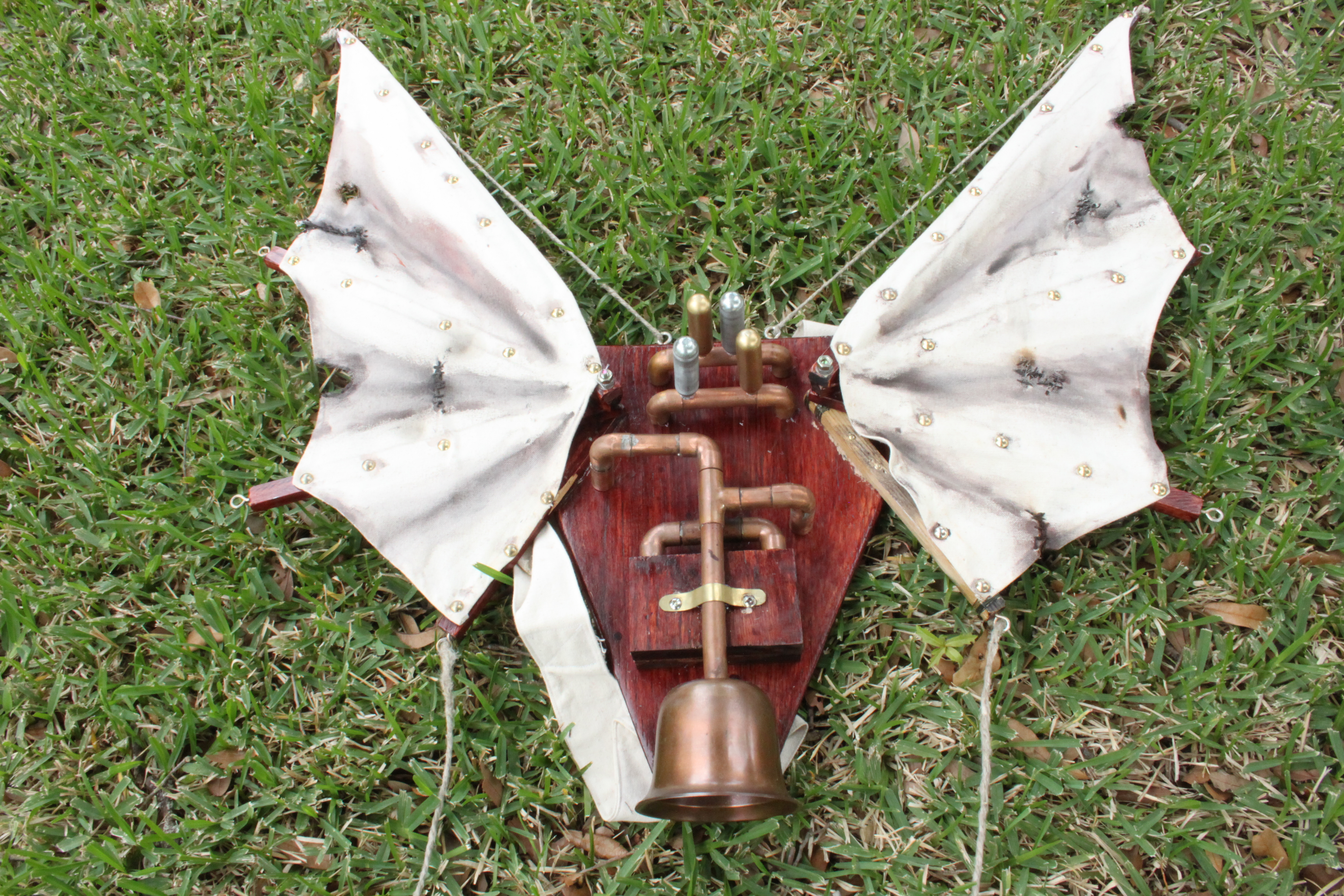 Steampunk  wings