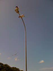 LampPost