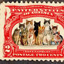King Spencer da Cat 3rd Birthday 2 Cent Stamp