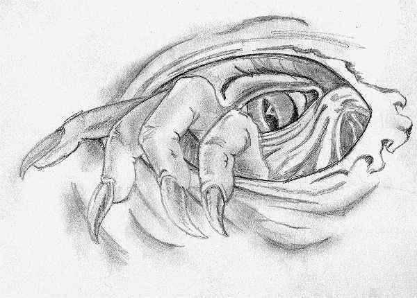 Demon S Eye By Severedflesh On Deviantart Demon S Eye By Severedflesh On Deviantart