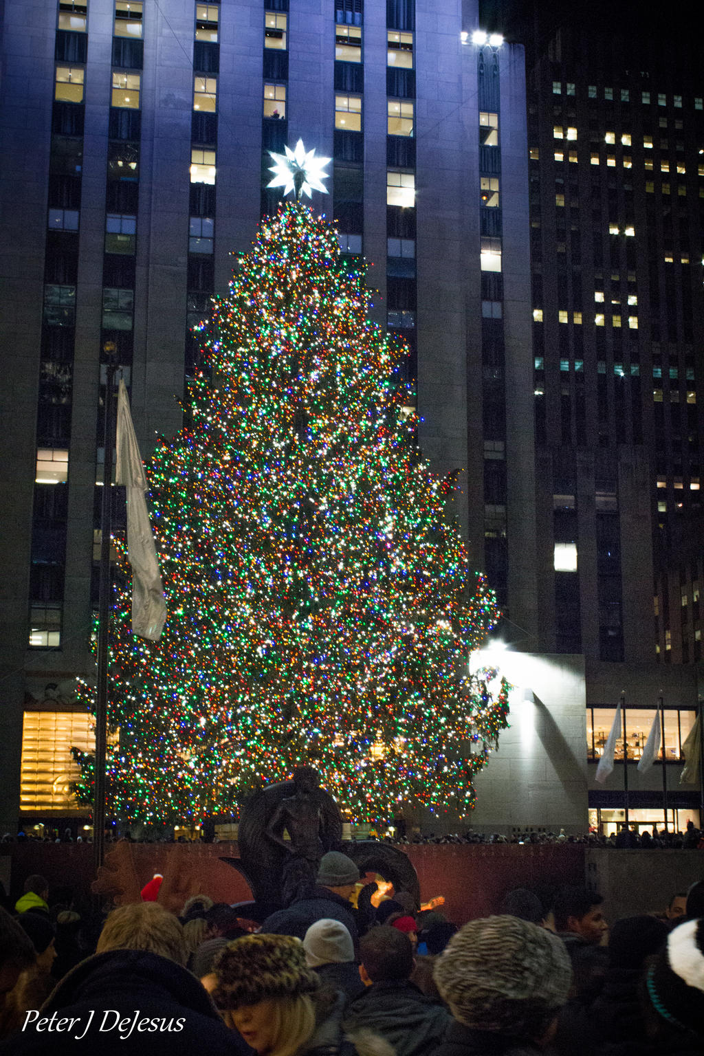 2013 NYC Christmas Tree