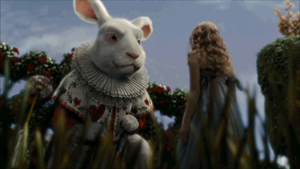 Alice Giant Rabbit 2 by Gianimals on DeviantArt