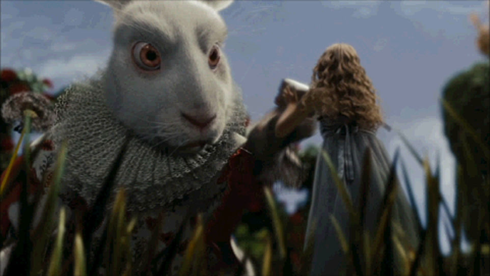 Angy Rabbit Alice Alice Giant Rabbit 3 by Gianimals on DeviantArt