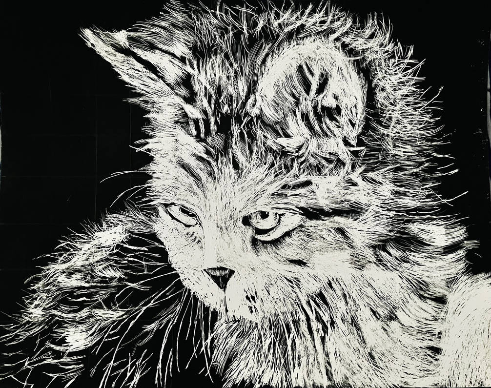 Cat Scratchboard Drawing - May 2019 by Thomascothran17 on DeviantArt