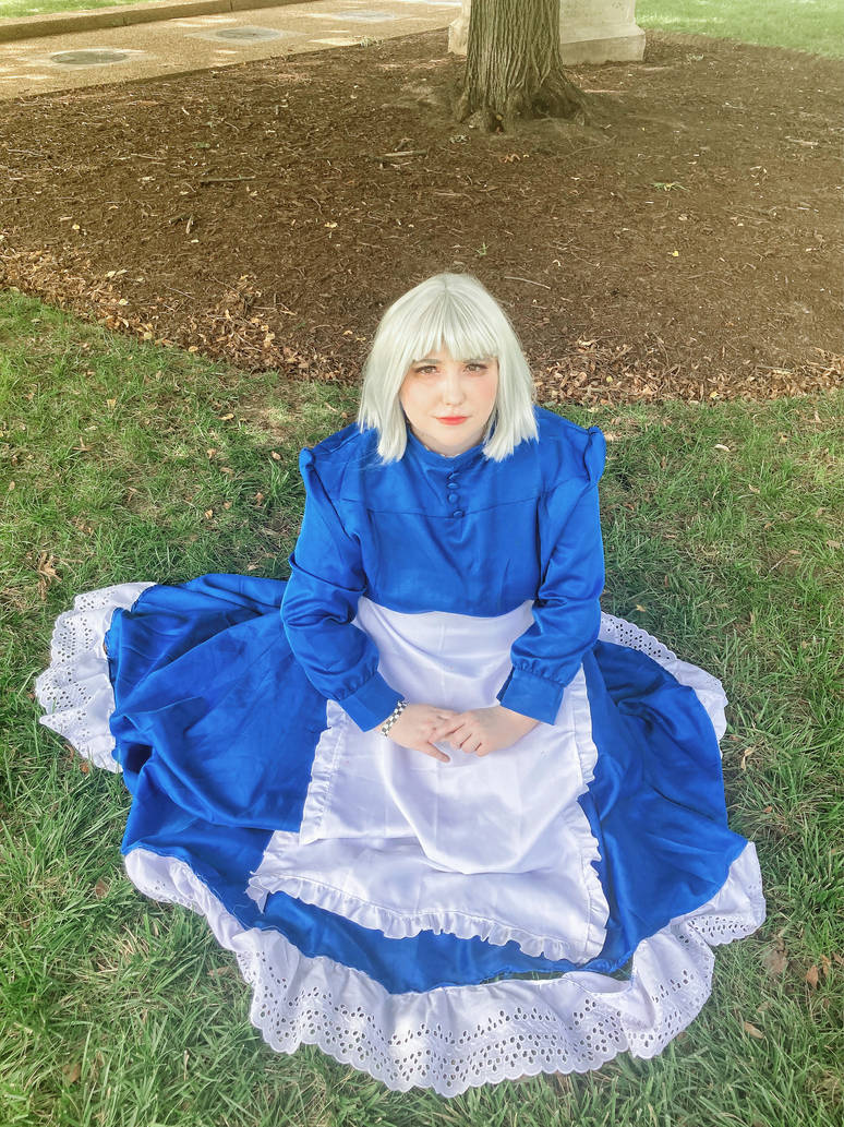 Revamped Sophie Hatter Dress by auress on DeviantArt