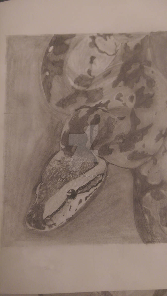 Ball Python Drawing by SilentDesolation on DeviantArt
