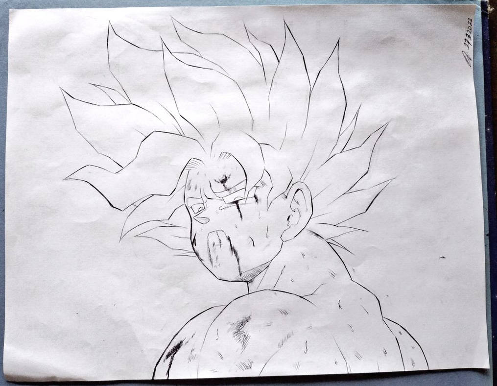 goku_super_saiyan_by_danigthssj5_df3kiev-pre.jpg