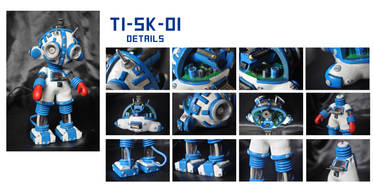 T1-SK-01 Details