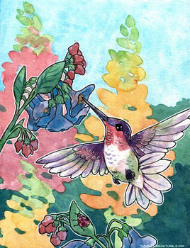 Hummingbird and Snapdragons