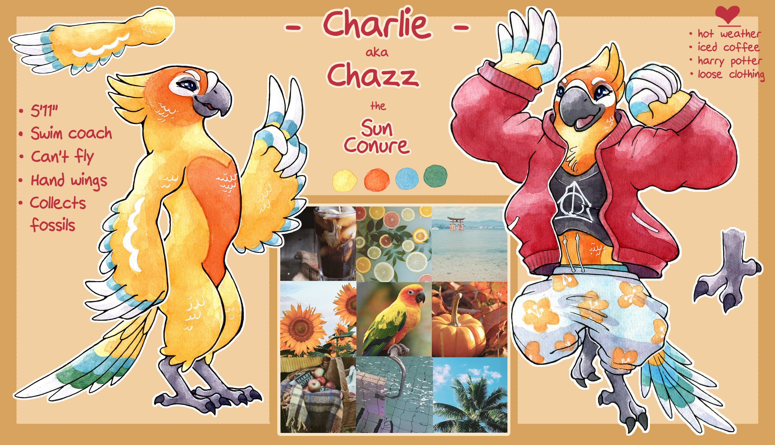 Charlie the Sun Conure