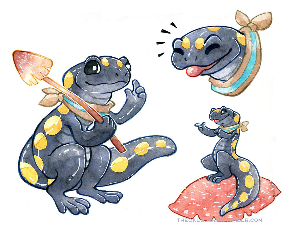 Spotted Salamander