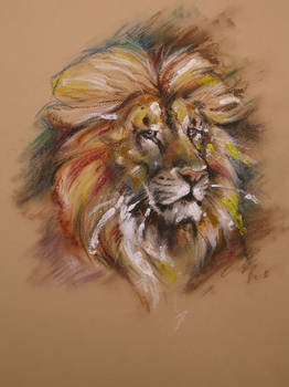 LION oil pastel