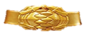 Tsumega Belt Buckle Render (free to use)