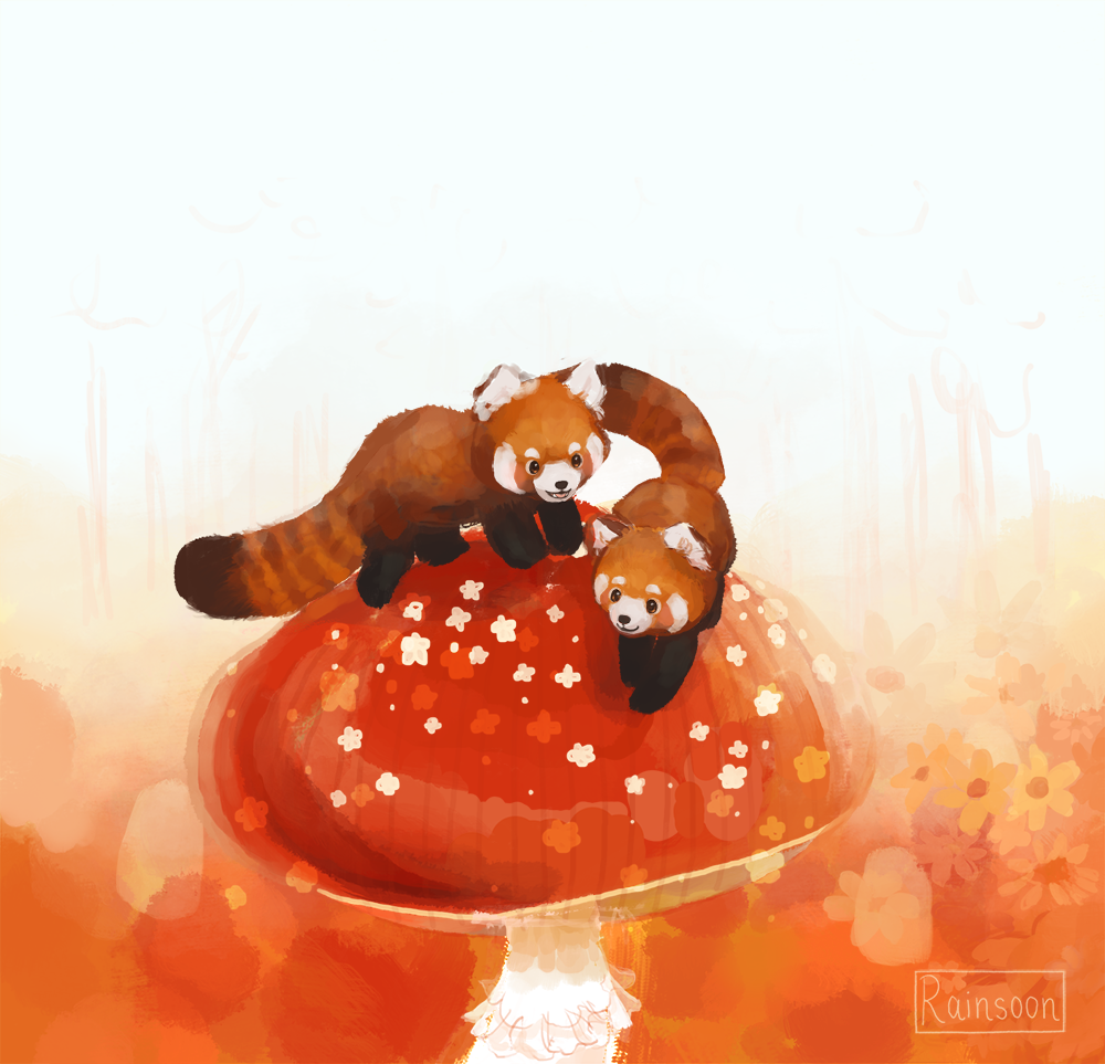 Red Pandas