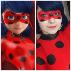 Ladybug Cosplay Comparison