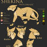 char sheet - Shekina