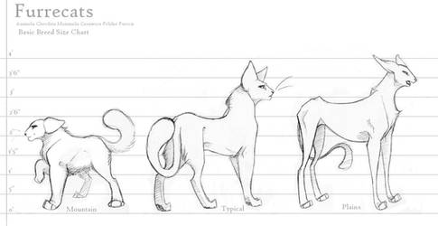 concept - Furrecat Breed Sizes