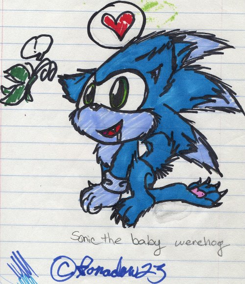 Sonic the Baby Werehog