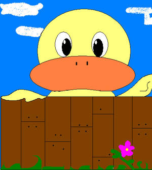 Cuak Mawar Duck