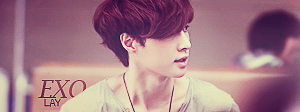 exolay-000-banner