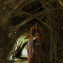 Morgan Le Fey