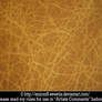 Cracked Leather 2